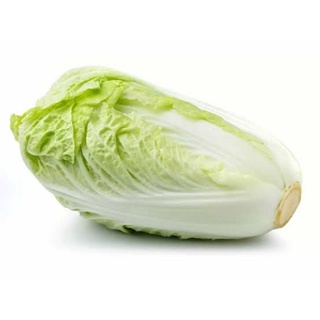 เมล็ดพันธุ์ผักกาดขาวปลีChinese Cabbage 800-900เมล็ด