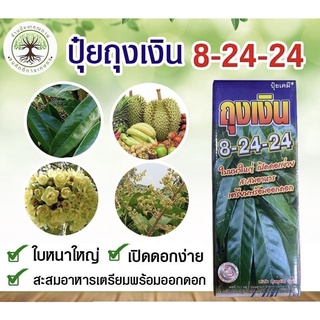 ปุ๋ยน้ำ 8-24-24 ตราถุงเงิน ใบหนาใหญ่ เปิดดอกง่าย สะสมอาหารเตรียมพร้อมออกดอก