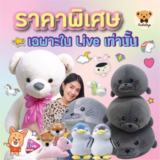 ราคาพิเศษ เป็นราคาเฉพาะในไลฟ์  ราคา สินค้า Sale