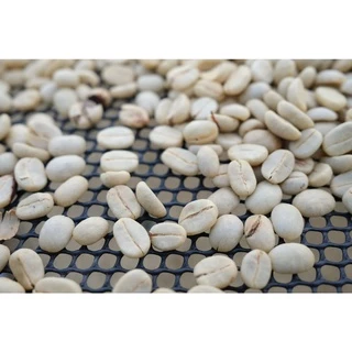 DC เมล็ดกาแฟคั่วกลางค่อนเข้ม Full City+ Roast ขนาด 500g. จากดอยช้าง คั่วใหม่ทุกวัน ส่งออกทุกเช้า