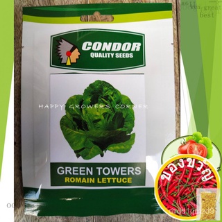 LETTUCE ROMAINE GREEN TOWERS 50 seeds (not live plants)edเมล็ดเชีย เมล็ดกุหลาบ เมล็ดดอกไม้ เมล็ดดอกดาวเรือง เมล็ดต้นอ่อน