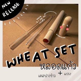 🌾พร้อมส่ง 🌾 WHEAT SET เซ็ทหลอดแก้วพกพาสำหรับเครื่องดื่ม