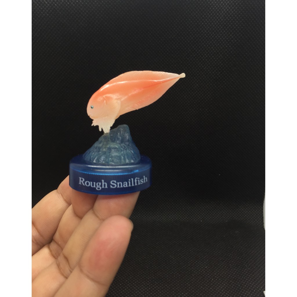 ฟิกเกอร์ จิ๋ว ปลาสเนลฟิชปลาที่มาจากมหาสมุทรลึกสุดขั้ว Kaiyodo The Deep Sea Odyssey Bottle Cap Mini Figure Fi