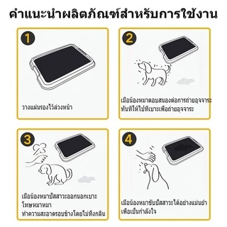 AimayaPet แผ่นรองฉี่สุนัข 100pcs แมว แผ่นรองฉี่สัตว์เลี้ยง ช่วยฝึกขับถ่าย ระงับกลิ่น ซึมซับได้ดี