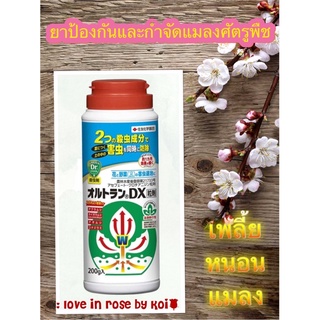 🌹ยาป้องกันและกำจัดแมลงศัตรูพืช AltranDX ขนาด 200 g🌹