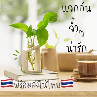 🌱แจกันแก้วน่ารัก🌱แจกันจิ๋ว แจกกันใส วางห้องทำงาน ห้องนอน ห้องรับแขก น่ารักๆ ไอเดียเก๋ๆ พร้อมส่งจ้า