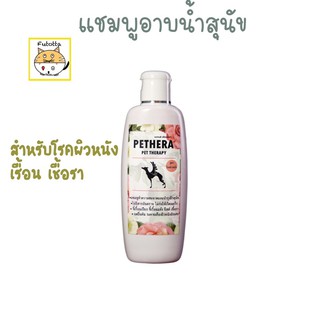 แชมพูสุนัข โรคผิวหนัง เรื้อน เชื้อรา