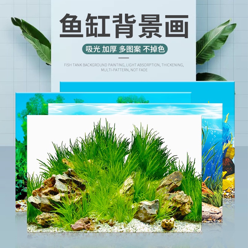 ตู้ปลา WALLPAPER พิพิธภัณฑ์สัตว์น้ํา BACKGROUND