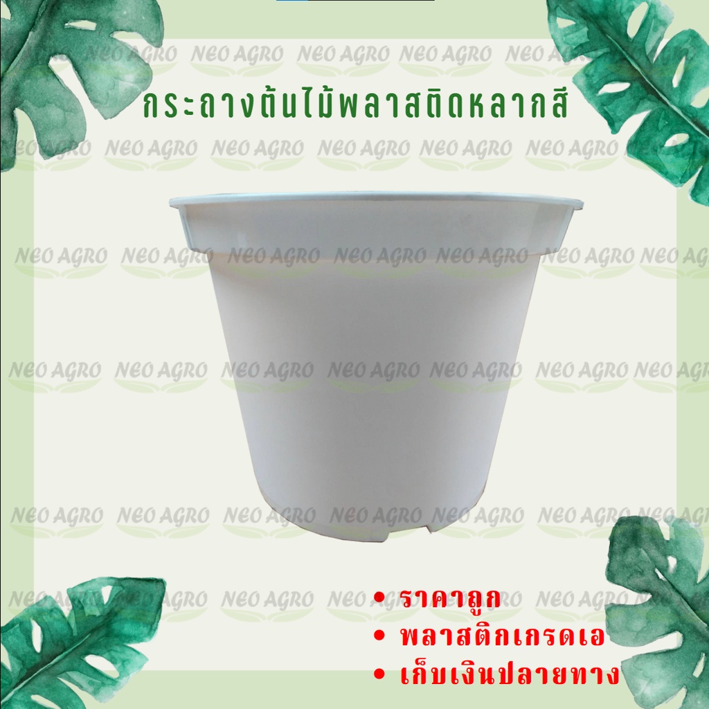 กระถางสี กระถางสีขาว กระถางต้นไม้พลาสติก แฟนซี 6 นิ้ว 8 นิ้ว 10 นิ้ว ราคาถูก