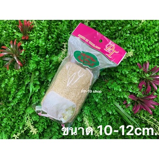 ใยบวบแท้จากธรรมชาติ Original 100% ใยบวบขนาด 10-12cm.