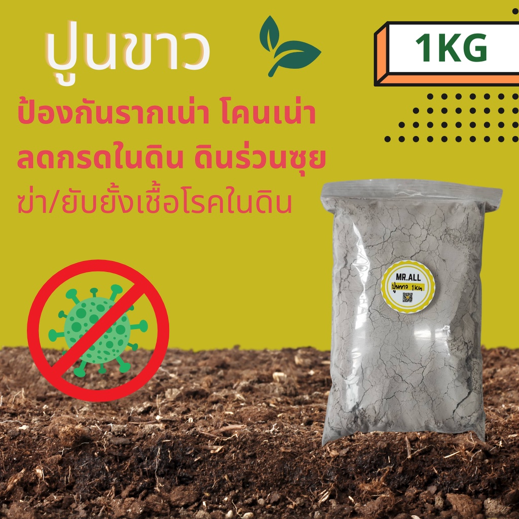 ปูนขาว Calcium hydroxide hydrated lime ป้องกันรากเน่า โคนเน่า ลดกรดในดิน ดินร่วนซุย  ฆ่า/ยับยั้งเชื้อโรคในดิน 3 kg