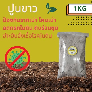 ปูนขาว Calcium hydroxide hydrated lime ป้องกันรากเน่า โคนเน่า ลดกรดในดิน ฆ่าเชื้อโรคในดิน 1kg