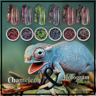 ผงขัดหน้าเล็บเจล ผง Chameleon เกร็ดหยาบ ผสมผง Hologram เกร็ดละเอียด ชุด6สี Chameleon &amp; Hologram Powder