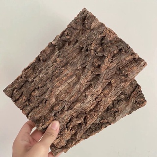 แหล่งขายและราคาเปลือกไม้ ไม้คอร์ก Cork Bark จากธรรมชาติตกแต่งตู้เลี้ยงสัตว์ สำหรับ กบ​ งู​​ ตะขาบ​​ เก๊กโค​ แมงมุม Isopodอาจถูกใจคุณ