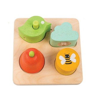 Tender Leaf Toys  - Audio Sensory Tray