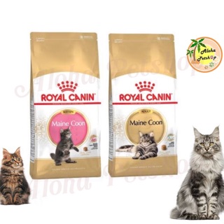 Royal Canin😻Maine coon kitten, adult 10kg น้องเหมียวพันธุ์ยักษ์ก็มานะคะ 10kg แมนคูน