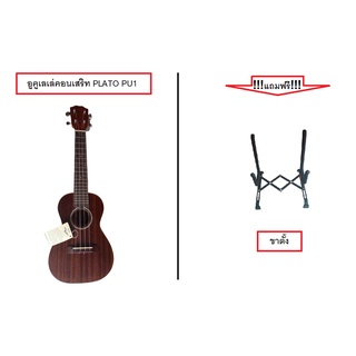 อูคูเลเล่ PLATO (PU1)Concert ukulele