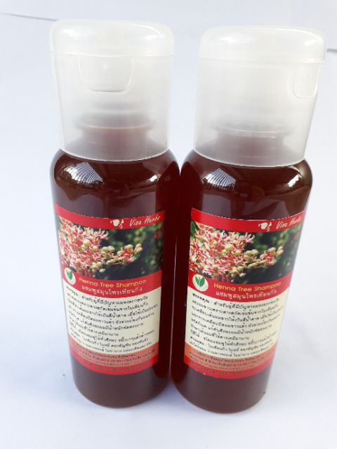 แชมพู เทียนกิ่ง visaherb