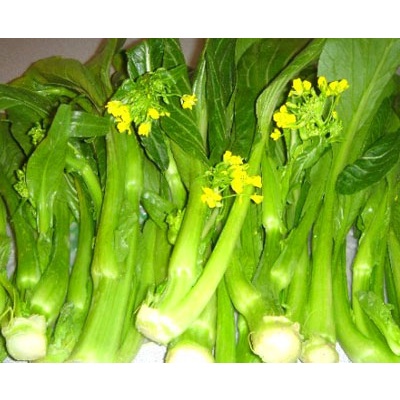 กวางตุ้งเจียไต๋  เมล็ดพันธุ์กวางตุ้งดอกนพมาศ (ผักกาดจ้อน) 500 ก.