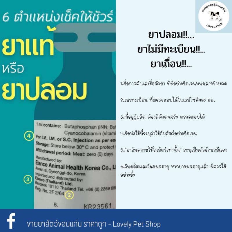 My Image 27