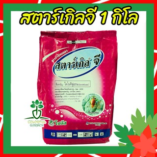 🍂 สตาร์เกิลจี Starkle G สารกำจัดแมลง 1 กิโล