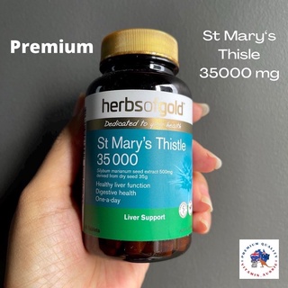 Herb Of Gold St. Mary’s Thistle 35000 mg 60 เม็ด