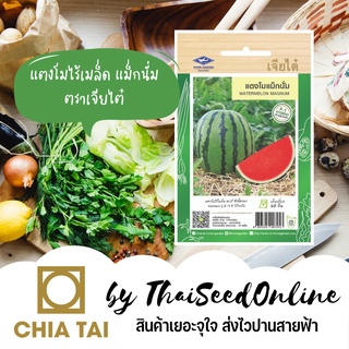 CTF1 เมล็ดพันธุ์ แตงโมไร้เมล็ด แตงโมแม็กนั่ม 15 เมล็ด ตราเจียไต๋ Seedless Watermelon