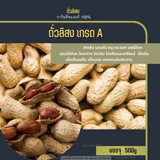 ถั่วลิสง เกรดA อาหารนก หนู กระรอก (แบ่งขาย500g)