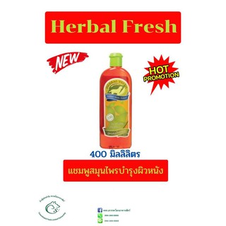 Herbal Fresh เฮอบัลเฟรช แชมพูสมุนไพรบำรุงผิวหนังขนาด 400 มิลลิลิตร