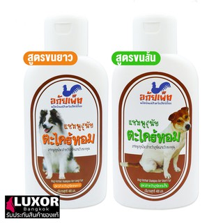 อภัยเพ็ท แชมพูสุนัขขนยาว / ขนสั้น สมุนไพร สูตรตะไคร้หอม 400ml อภัยภูเบศร แก้คัน กำจัดเห็บหมัด