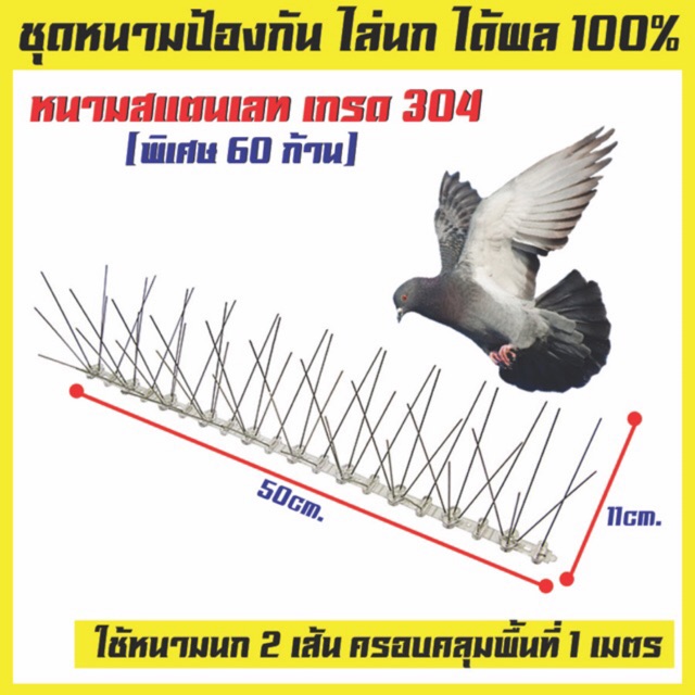 หนามไล่นก หนามกันนก ไล่นกพิราบ แบบฐานพลาสติก หนามสแตนเลส ทน แดด ฝน ไม่เป็นสนิม วิธีกำจัดนกได้ผลจริง 100% 🕊