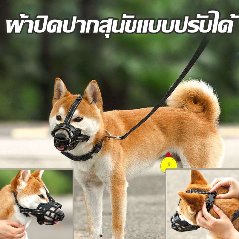 #ปากกระบอกปืนสัตว์เลี้ยง
#ผลิตภัณฑ์สัตว์เลี้ยง
#พลาสติก
#สำหรับสุนัข
#ปรับขนาดได้