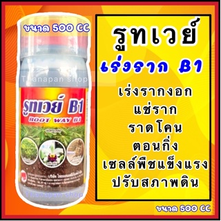 น้ำยาเร่งราก B1 รูทเวย์ สูตรเรียกราก 500CC ดินไม่เป็นกรด #ซื้อ2ขวดถูกกว่า#