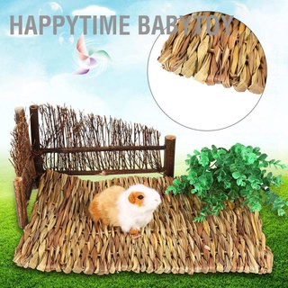 [คลังสินค้าใส]Happytime Babytoy เสื่อทอมือขนาดเล็กสําหรับสัตว์เลี้ยงหนูแฮมสเตอร์กระต่าย 2 ขนาด