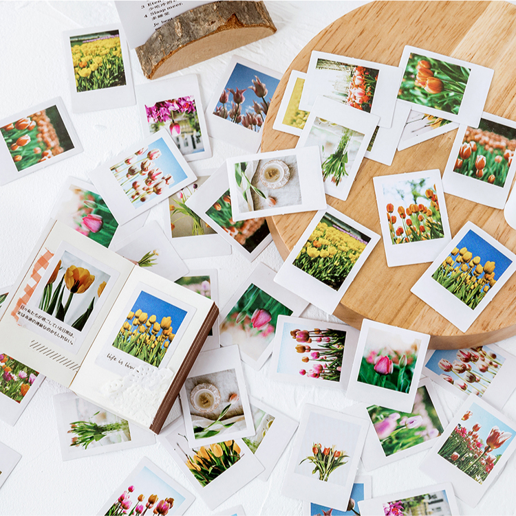 สติกเกอร์ ลายดอกทิวลิป สําหรับตกแต่งสมุดภาพ วารสาร 46 ชิ้น ต่อถุง
