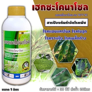 🔴ยกลัง🔴 เฮกซะโคนาโซล 1000ซีซี x 12 ขวด ป้องกันกำจัดโรคพืช กำจัดโรคได้กว้างขวาง ใบไหม้ เมล็ดด่าง ใบจุดในกล้วยไม้