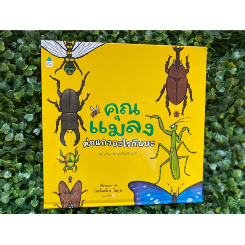 หนังสือเด็ก คุณแมลงต่อแถวอะไรกันนะ
