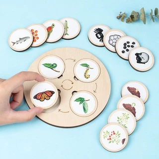 Treeyear Montessori Life ชุดบอร์ดวงจรปริศนา วงจรชีวิต สัตว์ พืช และแมลง ของเล่นเสริมพัฒนาการ สําหรับเด็กวัยหัดเดิน