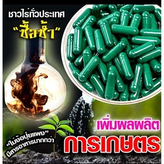 🌿💥แค็ปซูลเขียวนาโน239.-/100แค็ป💥🌱ฮอร์โมนพืชทางใบและดิน..🎉(โปรโมชั่นส่งด่วนรอ2-3วัน🔖💥(ราคาโรงงาน)💥🔖