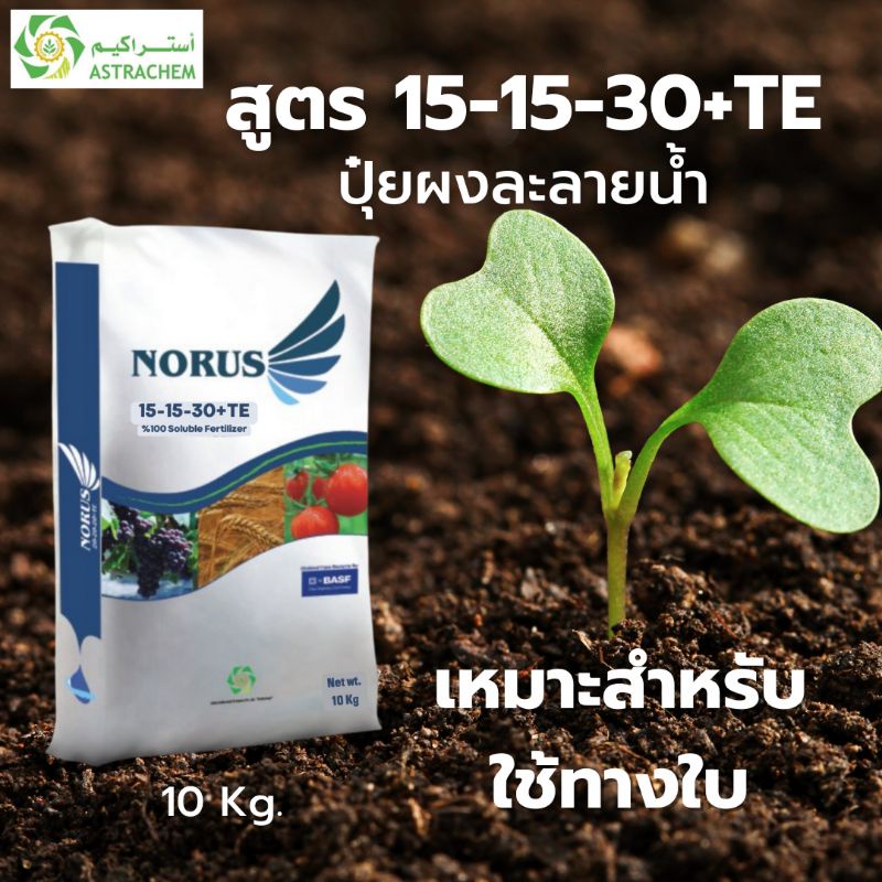 NORUS ปุ๋ย NPK สูตร 15-15-30