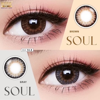 คอนแทคเลนส์ Wink Lens Soul ค่าสายตา 0.00 ถึง -5.00