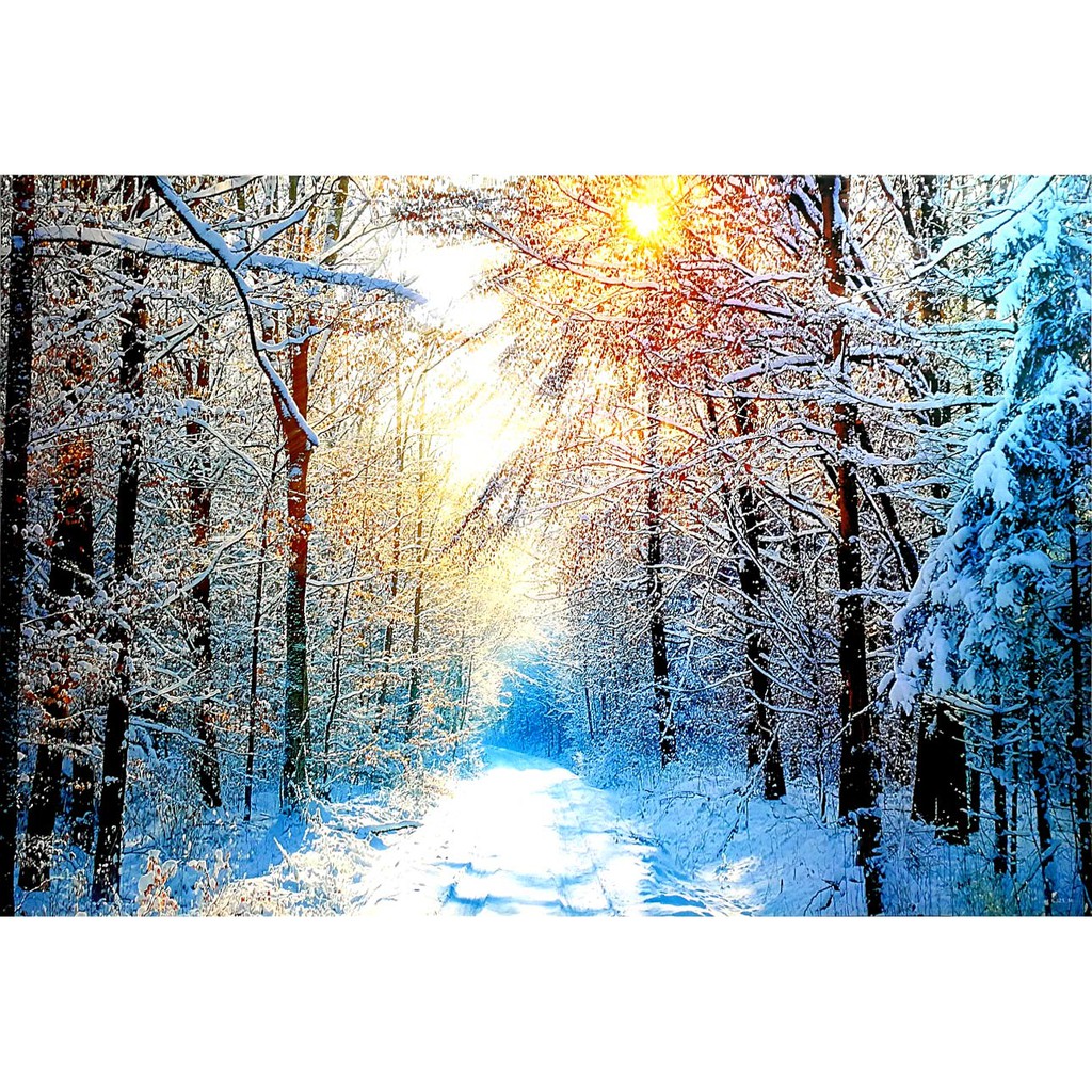 โปสเตอร์ รูปถ่าย วิว ธรรมชาติ ป่าสน Winter Forest Landscapes Nature POSTER 24”x35” Inch Beautiful Ea