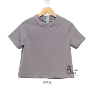 Simply Turtleneck Top (Grey)