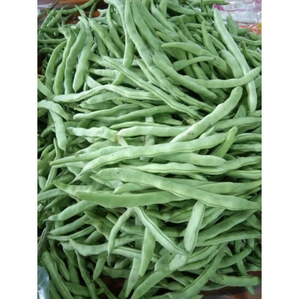 四季豆ถั่วจีนหวานกรอบสดจากดอย