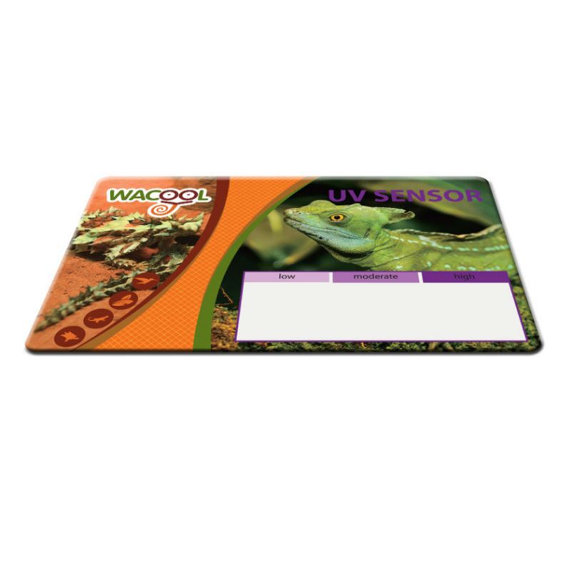 รูปภาพ 2