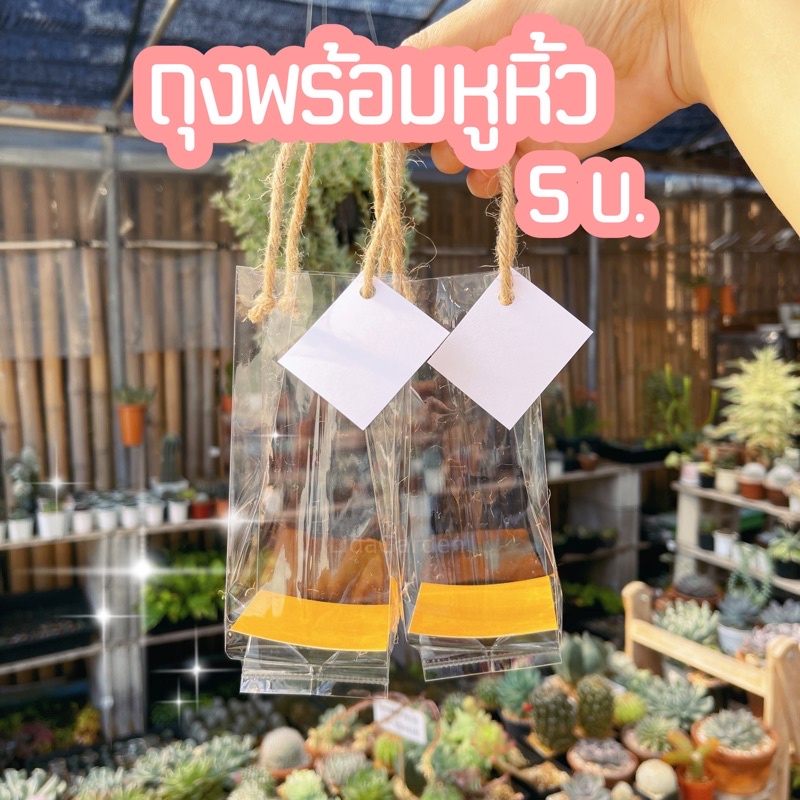 [ถุงใส่ต้นไม้] ถุงพร้อมหูหิ้ว 6 บาท พร้อมส่ง🪴 ใส่ขนาดกระถาง 2” ถึง 3”