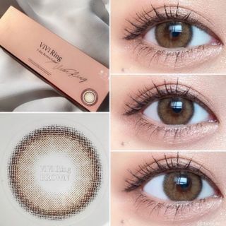 🍫พร้อมส่ง O-lens​ Vivi​Ring​ 1day Brown /Choco 👁