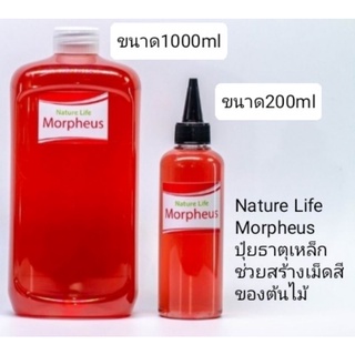 (พร้อมส่ง)Morpheus ปุ๋ยธาตุเหล็กช่วยสร้างเม็ดสีของต้นไม้ใช้ได้ทั้งไม้เขียวและไม้แดง