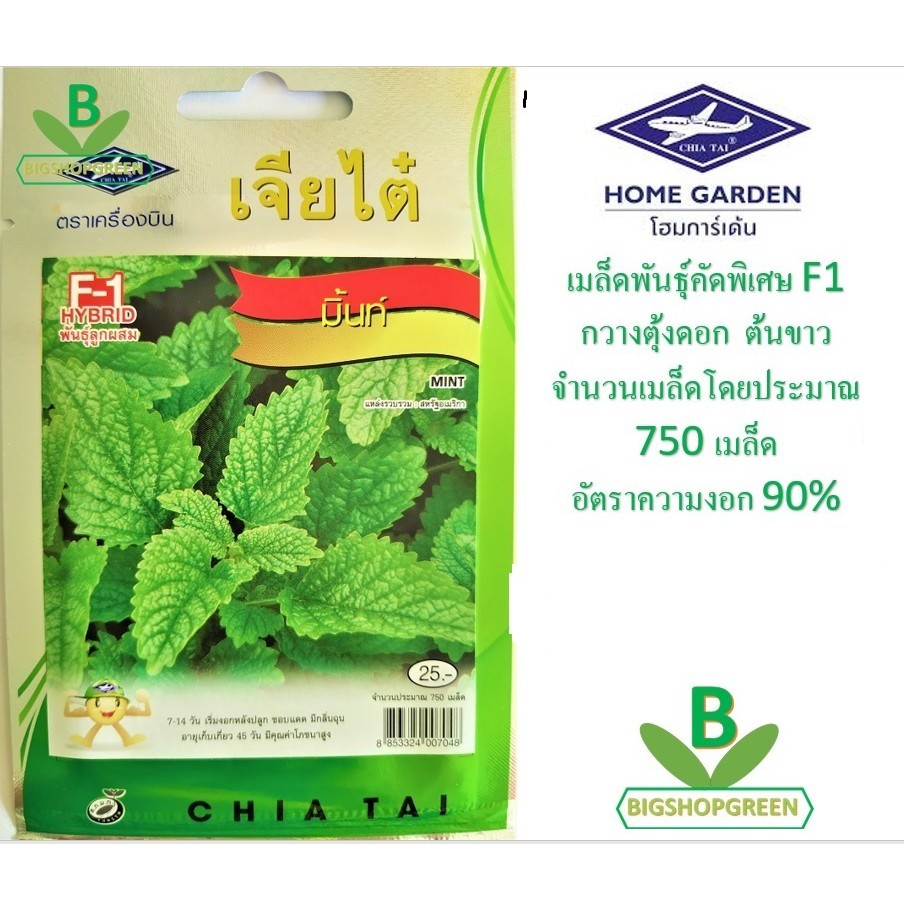5 ฟรี 1 คละได้ เมล็ดพันธุ์ มิ้นท์ (สาระแหน่) ตรา เจียไต๋ เมล็ดพันธุ์คัดพิเศษ F1 เมล็ดผัก เมล็ดพันธุ์ผัก เมล็ดพืช