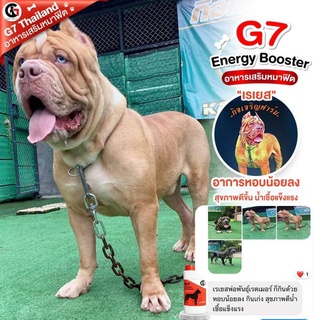 G7 Energy Booster สำหรับน้องหมา